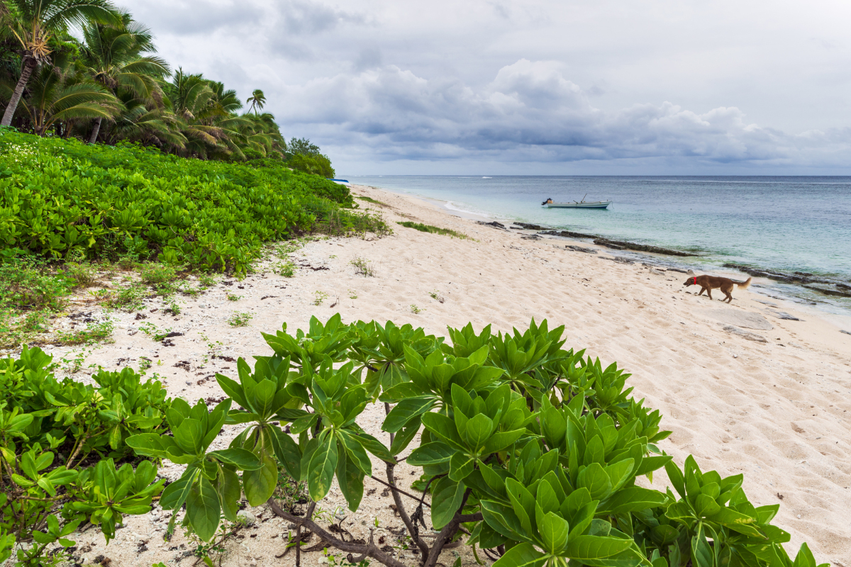 Tonga