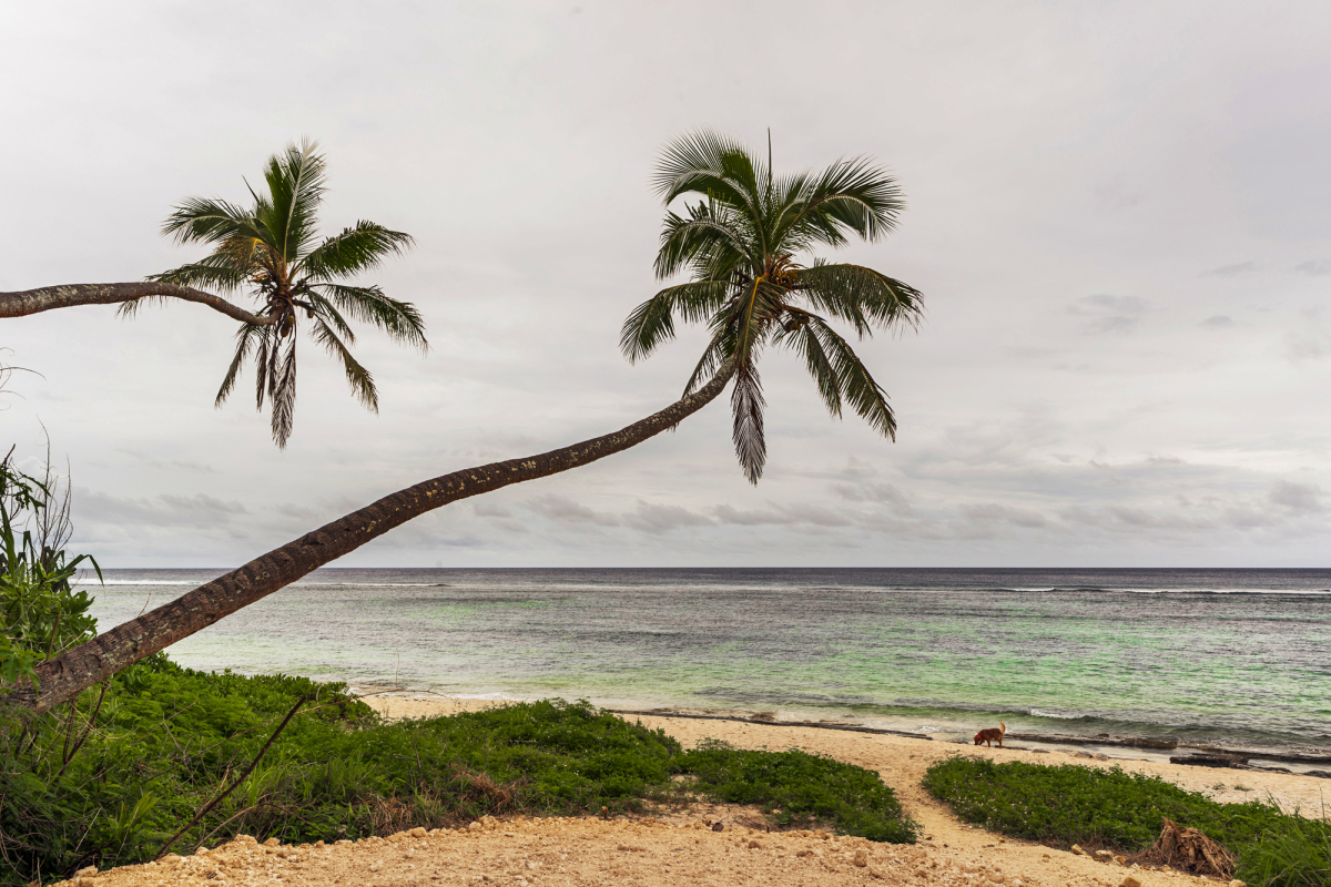 Tonga