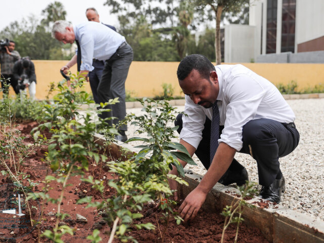 Abiy Ahmed