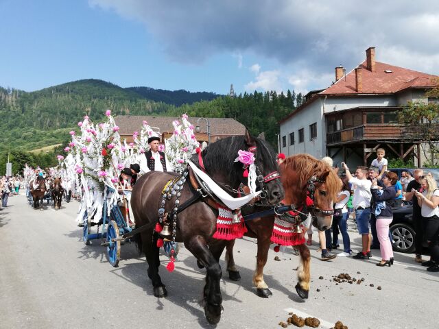 kone, terchová, jánošíkové dni