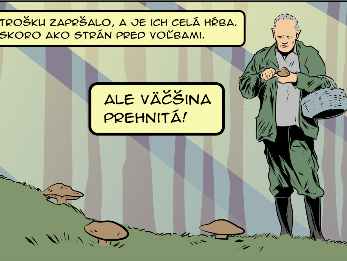 Gašparec 6.8.2019