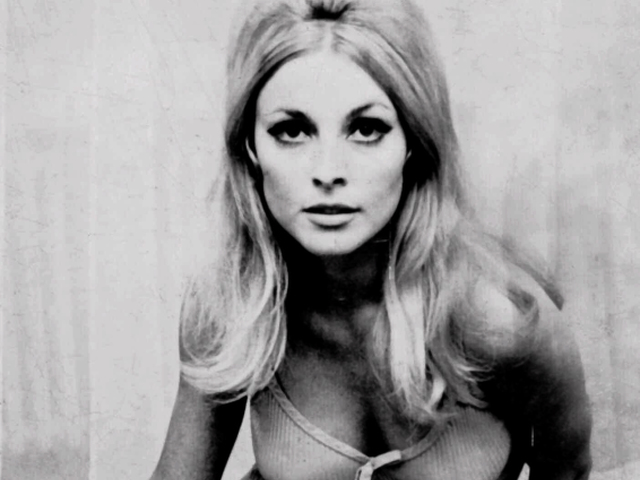 Herečka Sharon Tate na nedatovanej fotografii. 