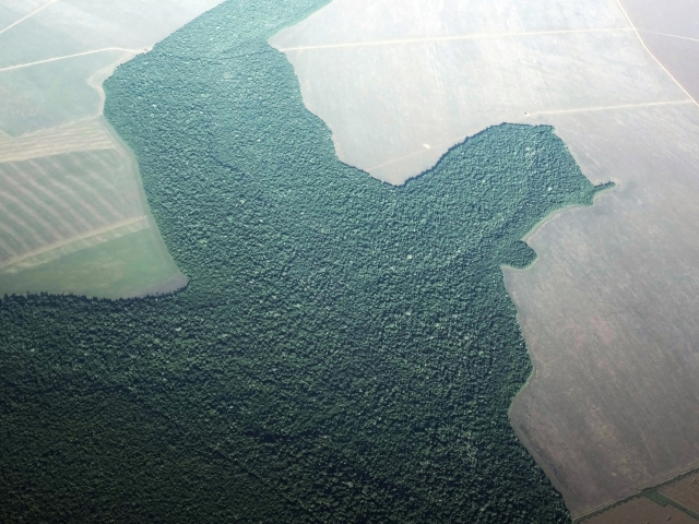 Brazília / Amazónia / deforestácia /