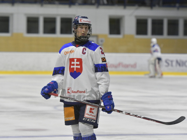 Hokejová reprezentácia