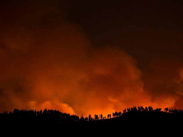 španielsko, gran canaria, požiar, les, oheň