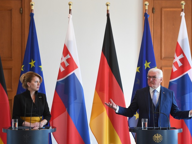 Zuzana Čaputová, Frank-Walter Steinmeier