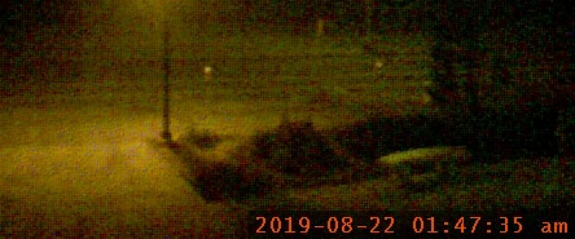 fogcam2