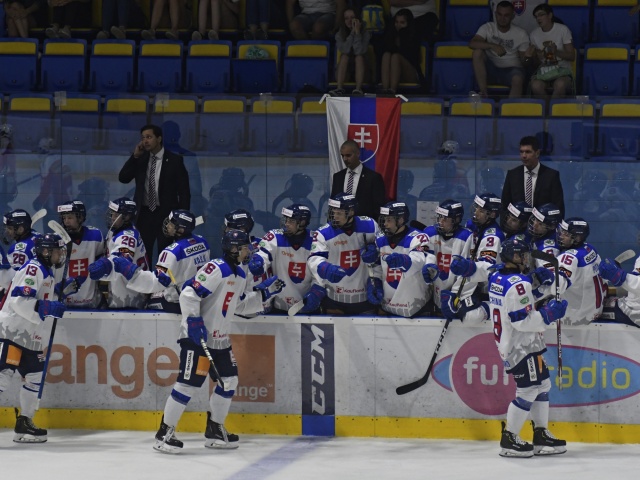 Slovenskí hokejisti
