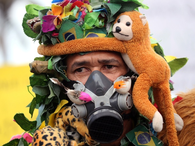 brazília, demonštrant, opica, prales. protest