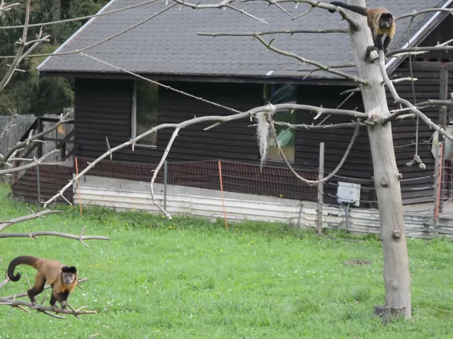 zoo Košice