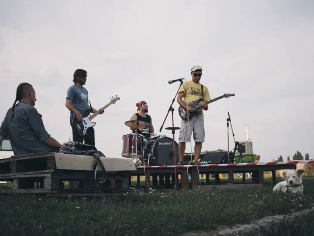 Skapal pes fest