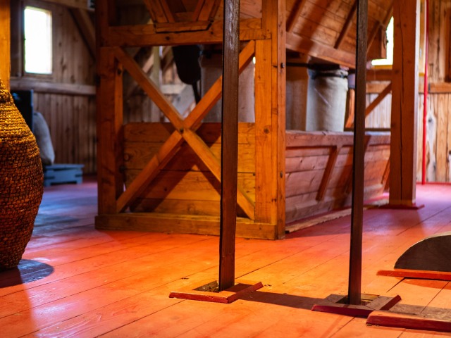 Slovenskí mlynári majú historicky najvyššie zásoby pšenice, prekvapila ich však veľkosť zŕn