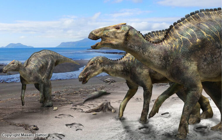 Fig1-Kamuysaurus-japonicus-1024x710