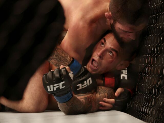 ufc chabib
