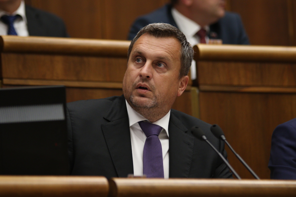Andrej Danko, NRSR