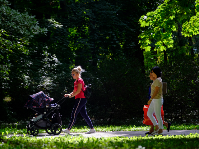 počasie jeseň park kočík stromy