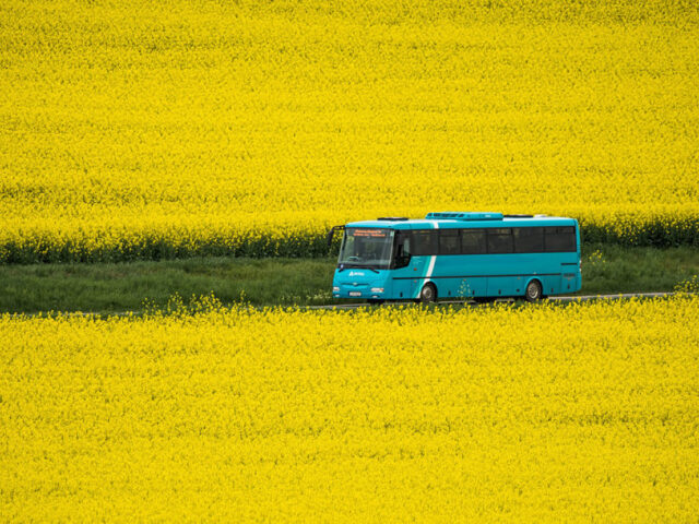 06 autobus 3x