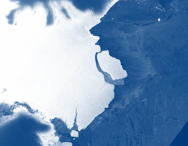 antarctic