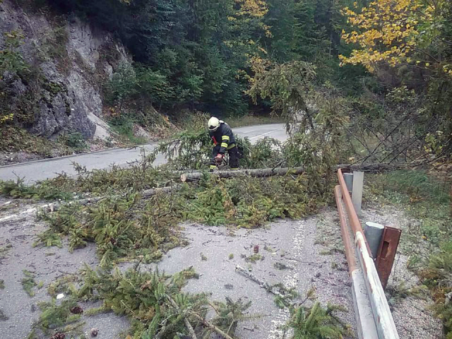 solný vietor strom hasič počasie