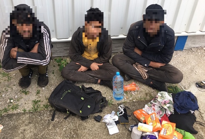 migranti