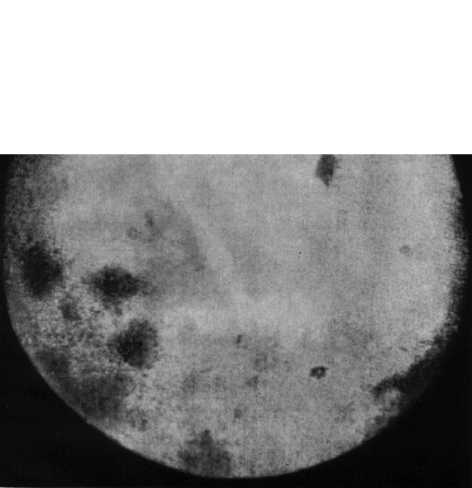 luna