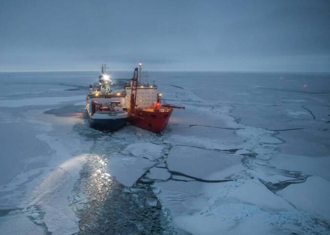 polar