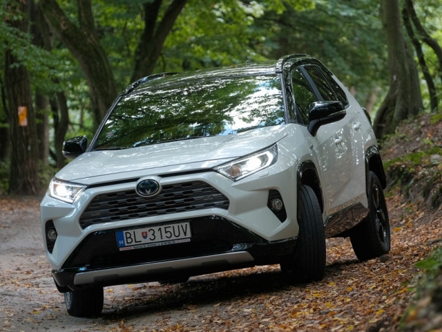 Toyota RAV4 2,5 Hybrid - test 2019
