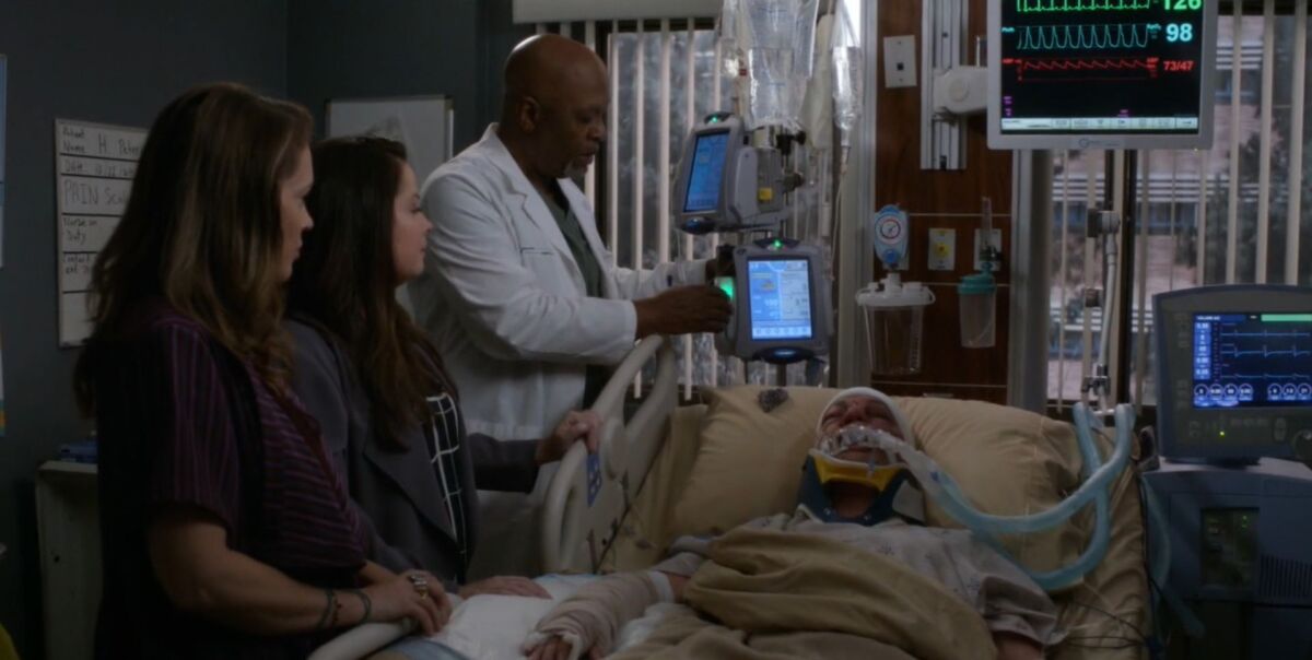 holly marie combs, alyssa milano, klinika grace, greys anatomy,