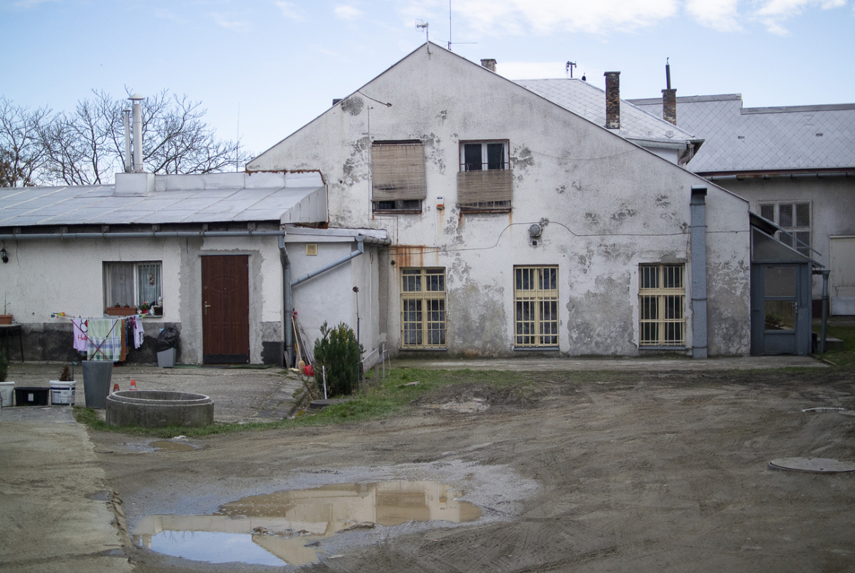 sokolska2 