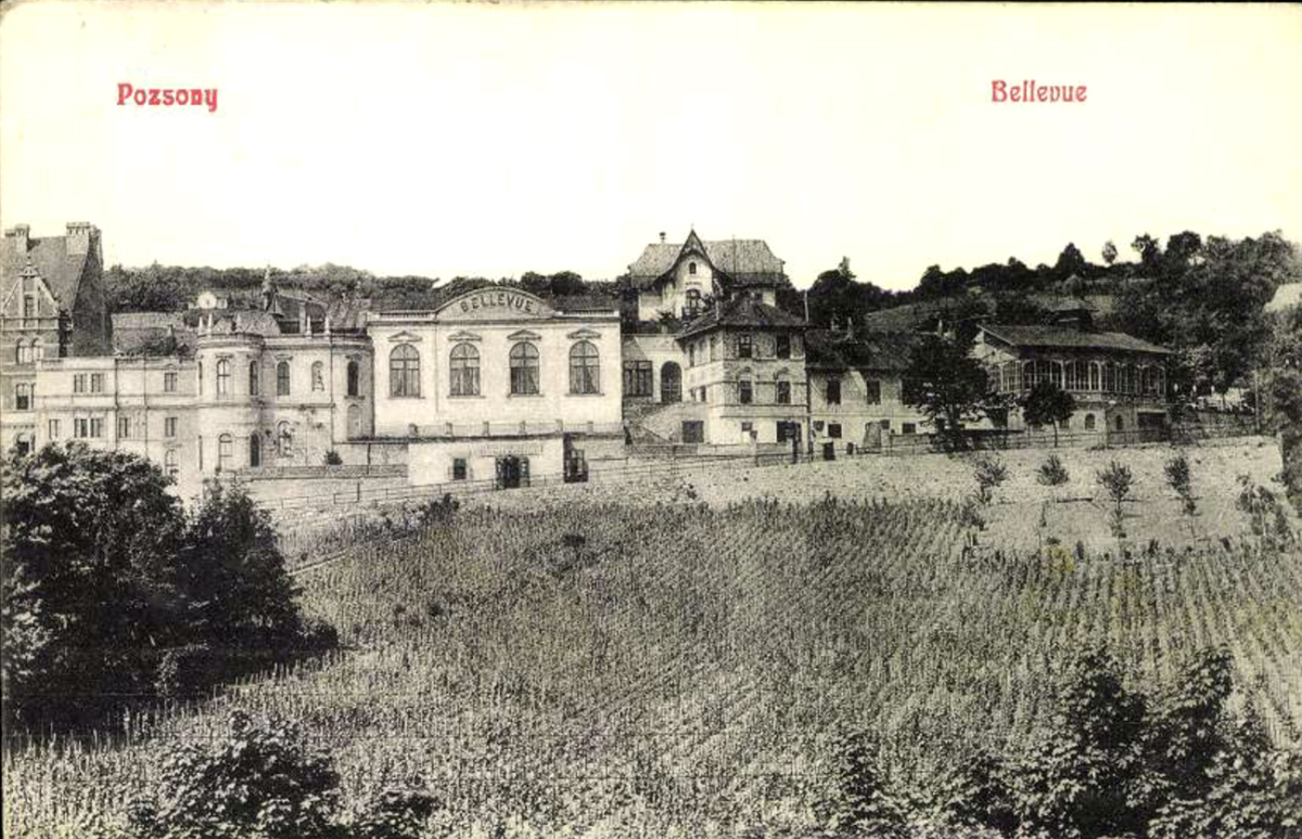 sokolska9