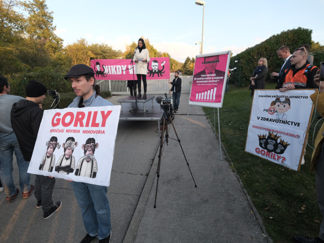 protest haščák dom gorila