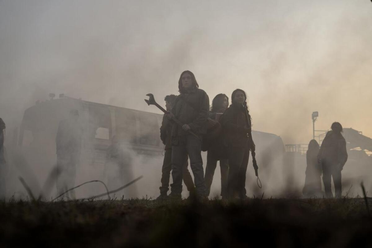 the walking dead, walking dead, twd3,
