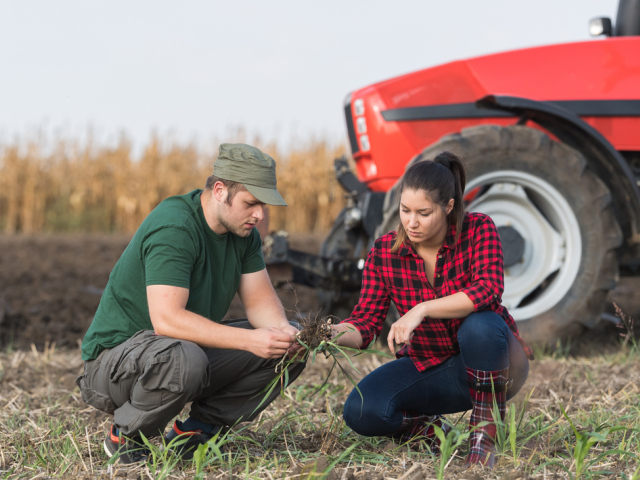 poľnohospodárstvo, žena, muž, traktor