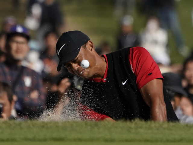 Tiger Woods