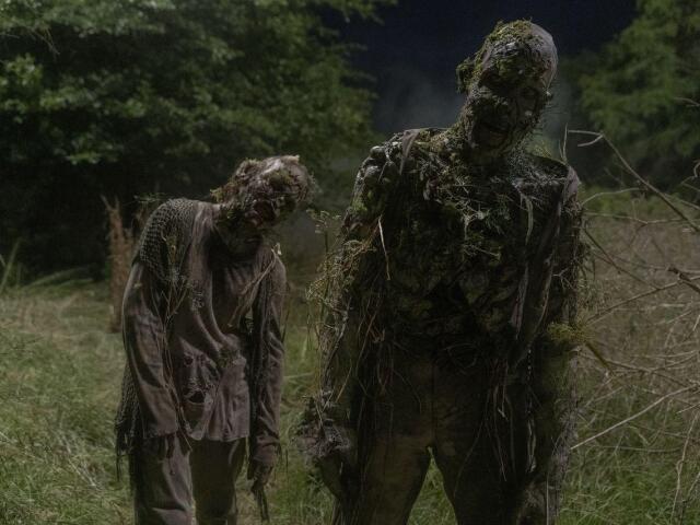 the walking dead, walking dead, živí mŕtvi, zombie, zombík, zombíci,