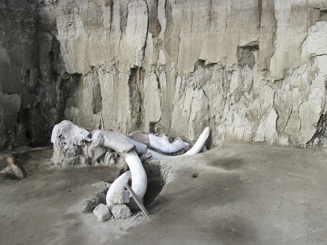 Mexico Mammoth Trap