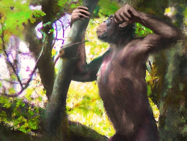 SCIENCE-APE/