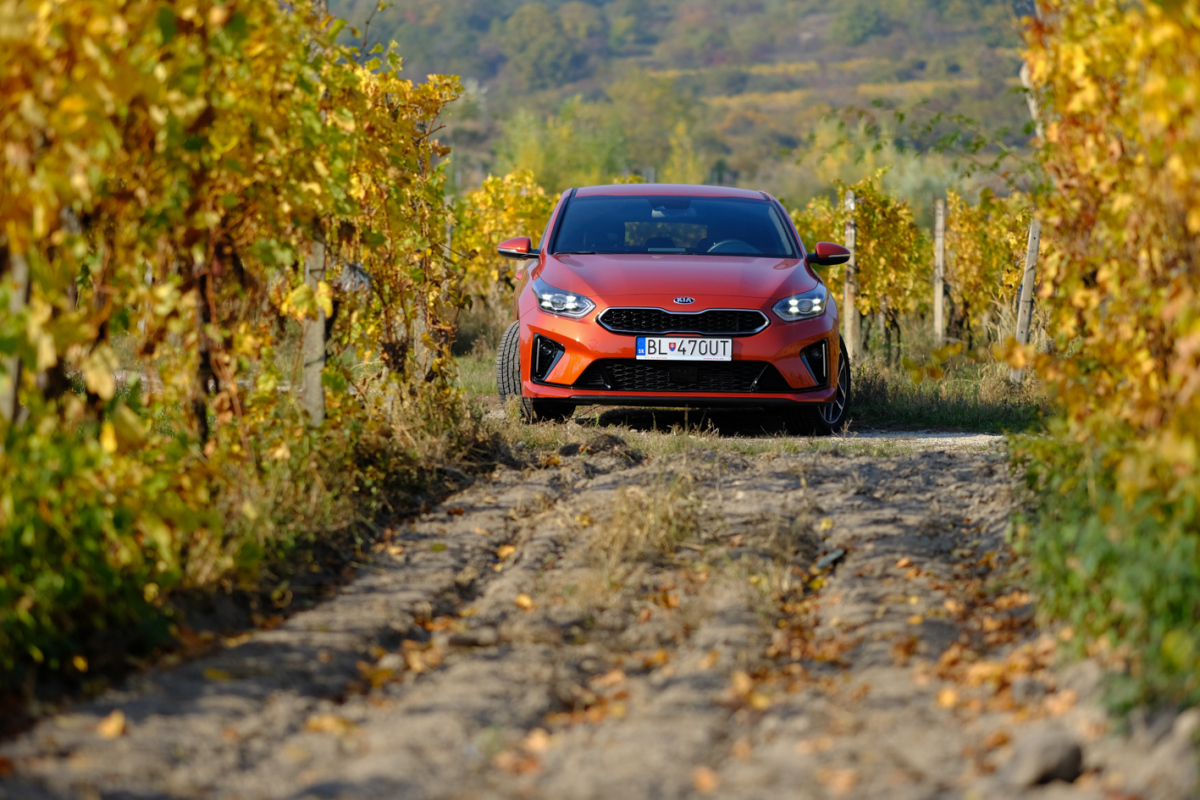 Kia Proceed GT Line