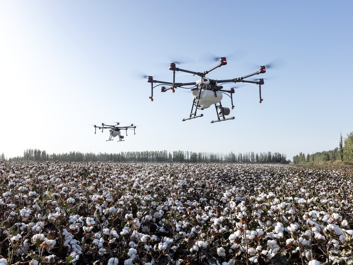 DN - Dji Dron1