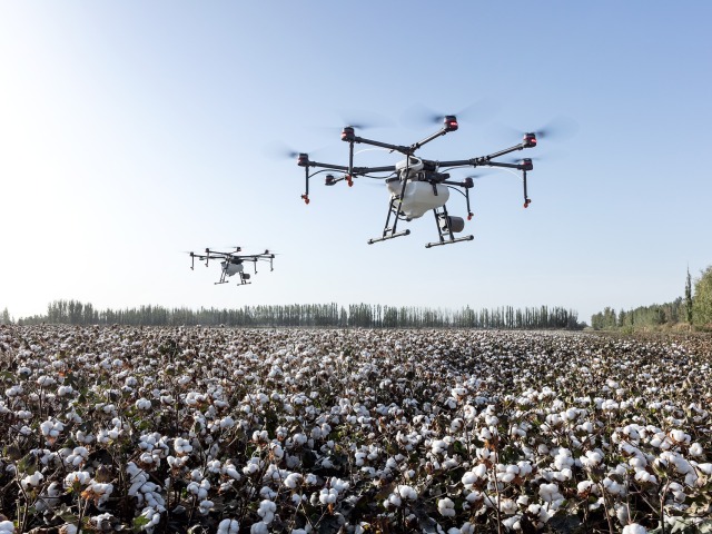 DN - Dji Dron1