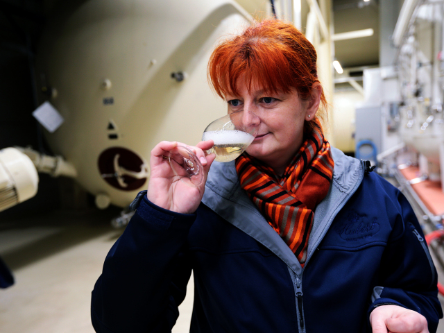 Ingrid Vajcziková, enologička