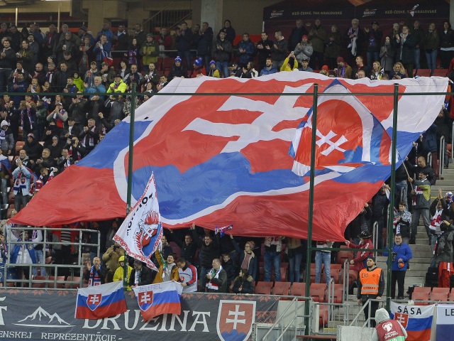 slovenskí fanúšikovia,