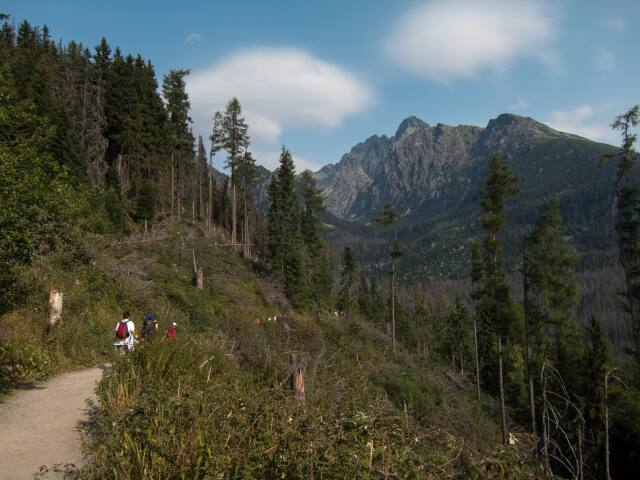 Vysoke Tatry, turistika, cestovny ruch, navstevnik