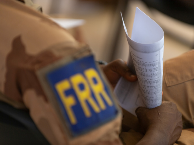 Francúzsko / vojak / armáda / Mali /