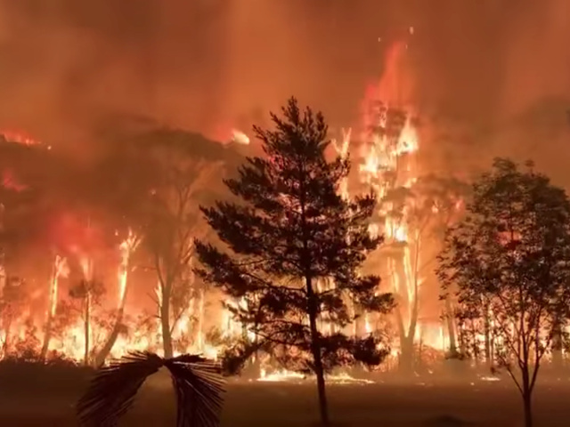 austrália, lesný požiar