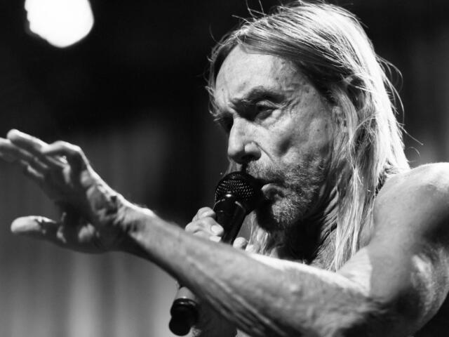 iggy pop