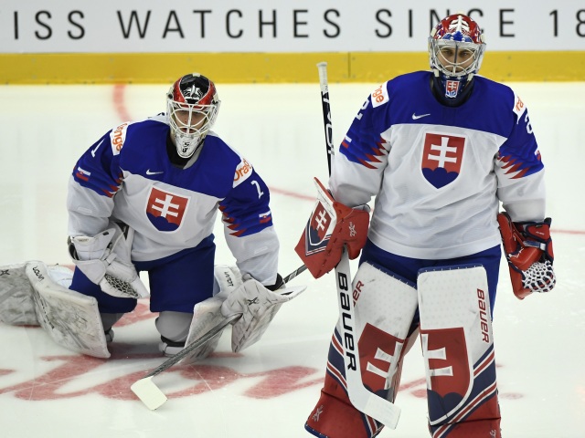 ČR SR Třinec hokej MS20 A-sk. Slovensko Fínsko