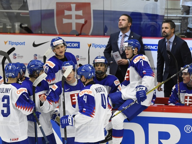 slovenskí hokejisti.