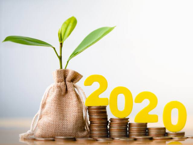 2020, rastlina, mince, vrece