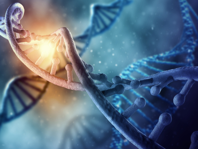 DNA